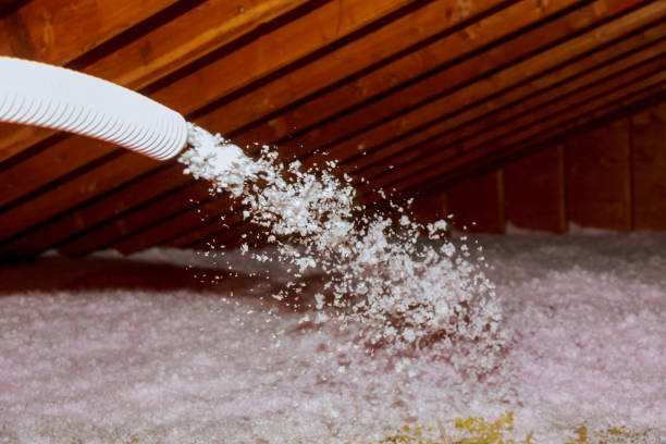 Best Insulation Replacement Services  in Welcome, SC
