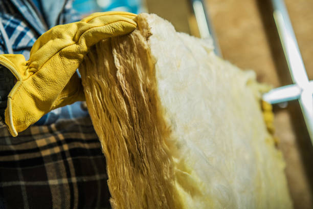 Best Home Insulation Services  in Welcome, SC