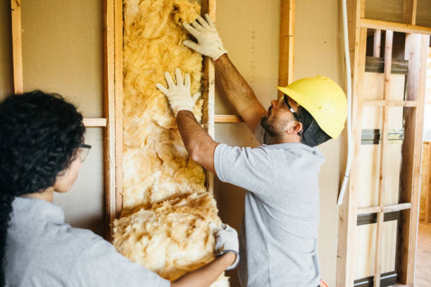 Best Energy-efficient Insulation  in Welcome, SC
