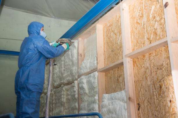 Best Spray Foam Insulation  in Welcome, SC